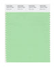 Pantone SMART Color Swatch 13-0117 TCX Green Ash