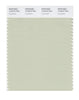 Pantone SMART Color Swatch 13-0210 TCX Fog Green