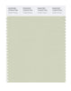 Pantone SMART Color Swatch 13-0212 TCX Tender Greens