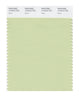 Pantone SMART Color Swatch 13-0215 TCX Reed