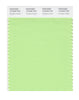Pantone SMART Color Swatch 13-0220 TCX Paradise Green