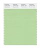 Pantone SMART Color Swatch 13-0221 TCX Pistachio Green