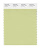 Pantone SMART Color Swatch 13-0317 TCX Lily Green