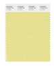 Pantone SMART Color Swatch 13-0333 TCX Lima Bean