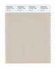 Pantone SMART Color Swatch 13-0401 TCX Oatmeal