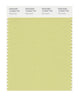 Pantone SMART Color Swatch 13-0522 TCX Pale Green