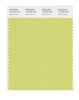 Pantone SMART Color Swatch 13-0532 TCX Celery Green