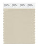 Pantone SMART Color Swatch 13-0607 TCX Fog