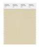 Pantone SMART Color Swatch 13-0611 TCX Moth