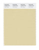 Pantone SMART Color Swatch 13-0613 TCX Chino Green