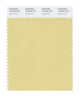 Pantone SMART Color Swatch 13-0624 TCX Golden Mist