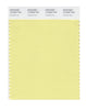 Pantone SMART Color Swatch 13-0633 TCX Chardonnay