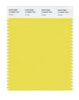 Pantone SMART Color Swatch 13-0640 TCX Acacia