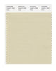 Pantone SMART Color Swatch 13-0711 TCX Putty