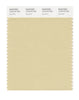 Pantone SMART Color Swatch 13-0715 TCX Sea Mist