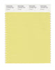 Pantone SMART Color Swatch 13-0720 TCX Custard