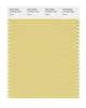 Pantone SMART Color Swatch 13-0725 TCX Raffia
