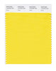 Pantone SMART Color Swatch 13-0746 TCX Maize