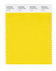 Pantone SMART Color Swatch 13-0752 TCX Lemon