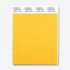 Pantone Polyester Swatch Card 13-0761 TSX Spaghetti Squash