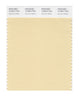 Pantone SMART Color Swatch 13-0814 TCX Summer Melon