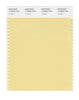 Pantone SMART Color Swatch 13-0822 TCX Sunlight