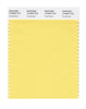 Pantone SMART Color Swatch 13-0840 TCX Snapdragon