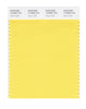 Pantone SMART Color Swatch 13-0850 TCX Aspen Gold