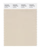 Pantone SMART Color Swatch 13-0907 TCX Sandshell