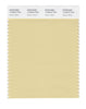Pantone SMART Color Swatch 13-0915 TCX Reed Yellow