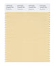 Pantone SMART Color Swatch 13-0916 TCX Chamomile