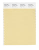 Pantone SMART Color Swatch 13-0917 TCX Italian Straw