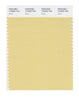 Pantone SMART Color Swatch 13-0922 TCX Straw