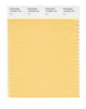 Pantone SMART Color Swatch 13-0935 TCX Flax