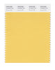 Pantone SMART Color Swatch 13-0940 TCX Sunset Gold