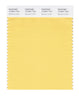 Pantone SMART Color Swatch 13-0941 TCX Banana Cream