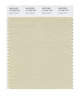 Pantone SMART Color Swatch 13-1007 TCX Oyster White