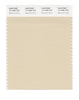 Pantone SMART Color Swatch 13-1008 TCX Bleached Sand