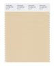 Pantone SMART Color Swatch 13-1009 TCX Biscotti