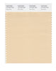 Pantone SMART Color Swatch 13-1010 TCX Gray Sand
