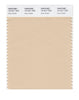Pantone SMART Color Swatch 13-1011 TCX Ivory Cream