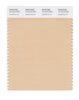 Pantone SMART Color Swatch 13-1013 TCX Appleblossom