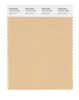 Pantone SMART Color Swatch 13-1014 TCX Mellow Buff