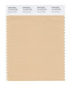 Pantone SMART Color Swatch 13-1015 TCX Honey Peach