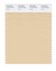 Pantone SMART Color Swatch 13-1016 TCX Wheat