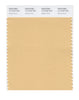 Pantone SMART Color Swatch 13-1018 TCX Desert Dust
