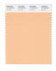 Pantone SMART Color Swatch 13-1020 TCX Apricot Ice