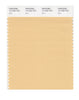 Pantone SMART Color Swatch 13-1024 TCX Buff