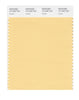 Pantone SMART Color Swatch 13-1025 TCX Impala