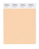 Pantone SMART Color Swatch 13-1026 TCX Creampuff